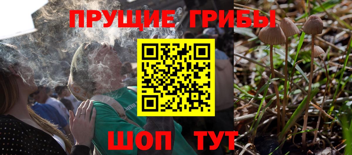 Магадан  Псилоцибиновые грибы Psilocybe  Псилоцибиновые грибы мухоморы  Вход с VPN 