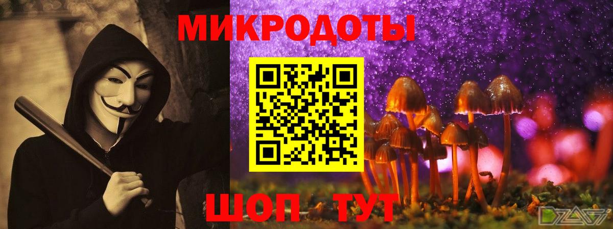Галлюциногенные грибы Psilocybine cubensis Магадан